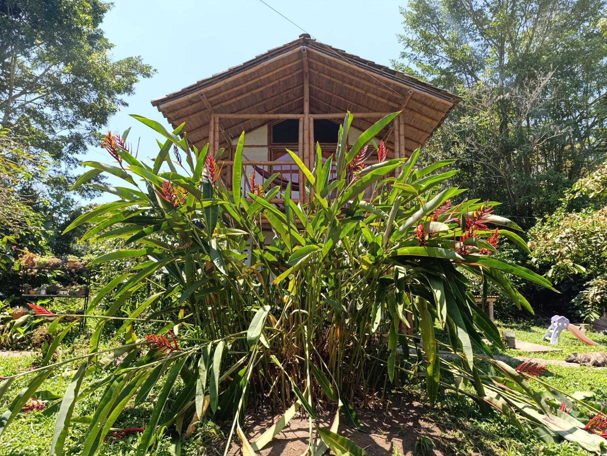 San Agustín Casa Entera Finca Cometa מראה חיצוני תמונה
