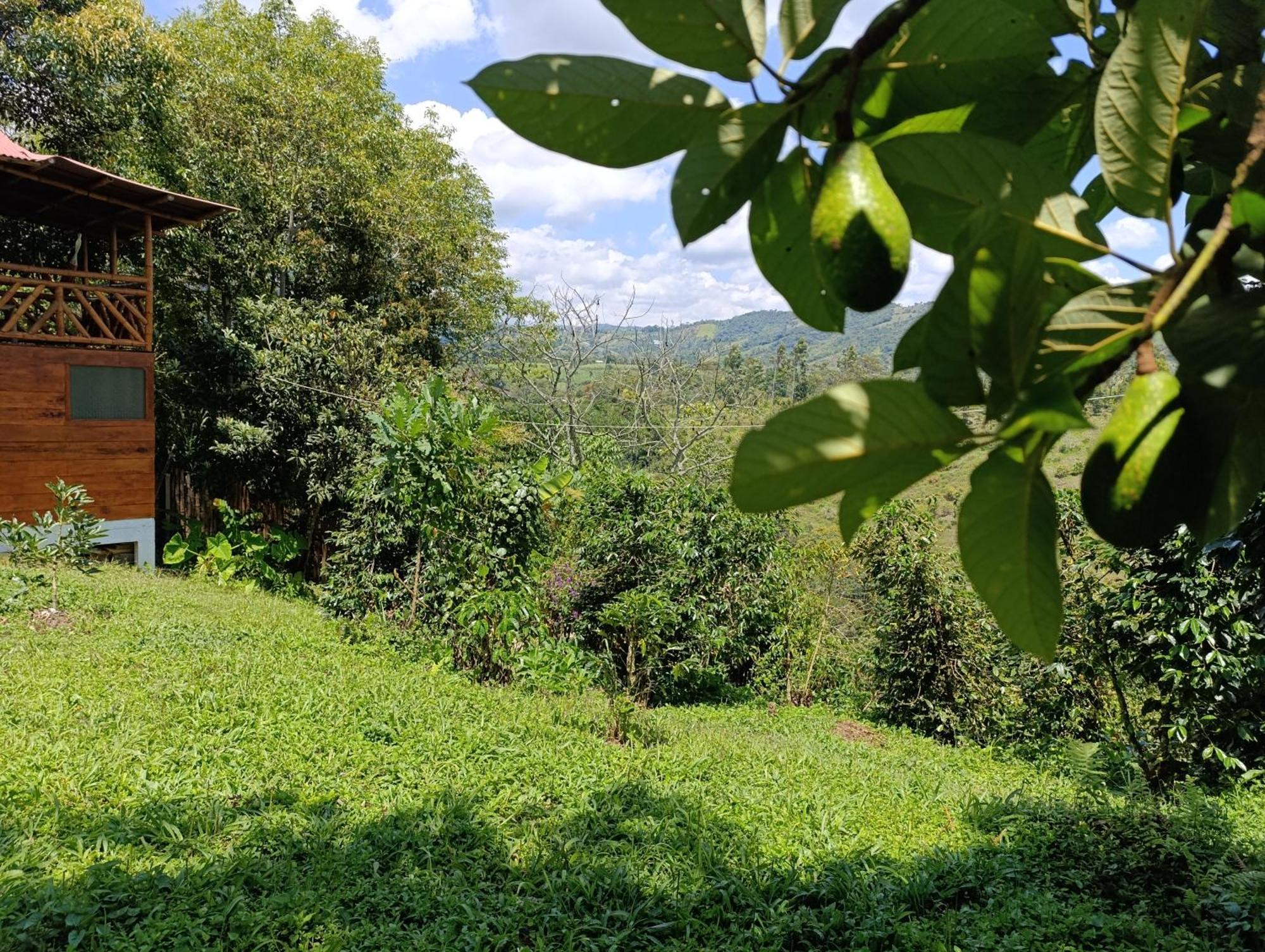 San Agustín Casa Entera Finca Cometa מראה חיצוני תמונה