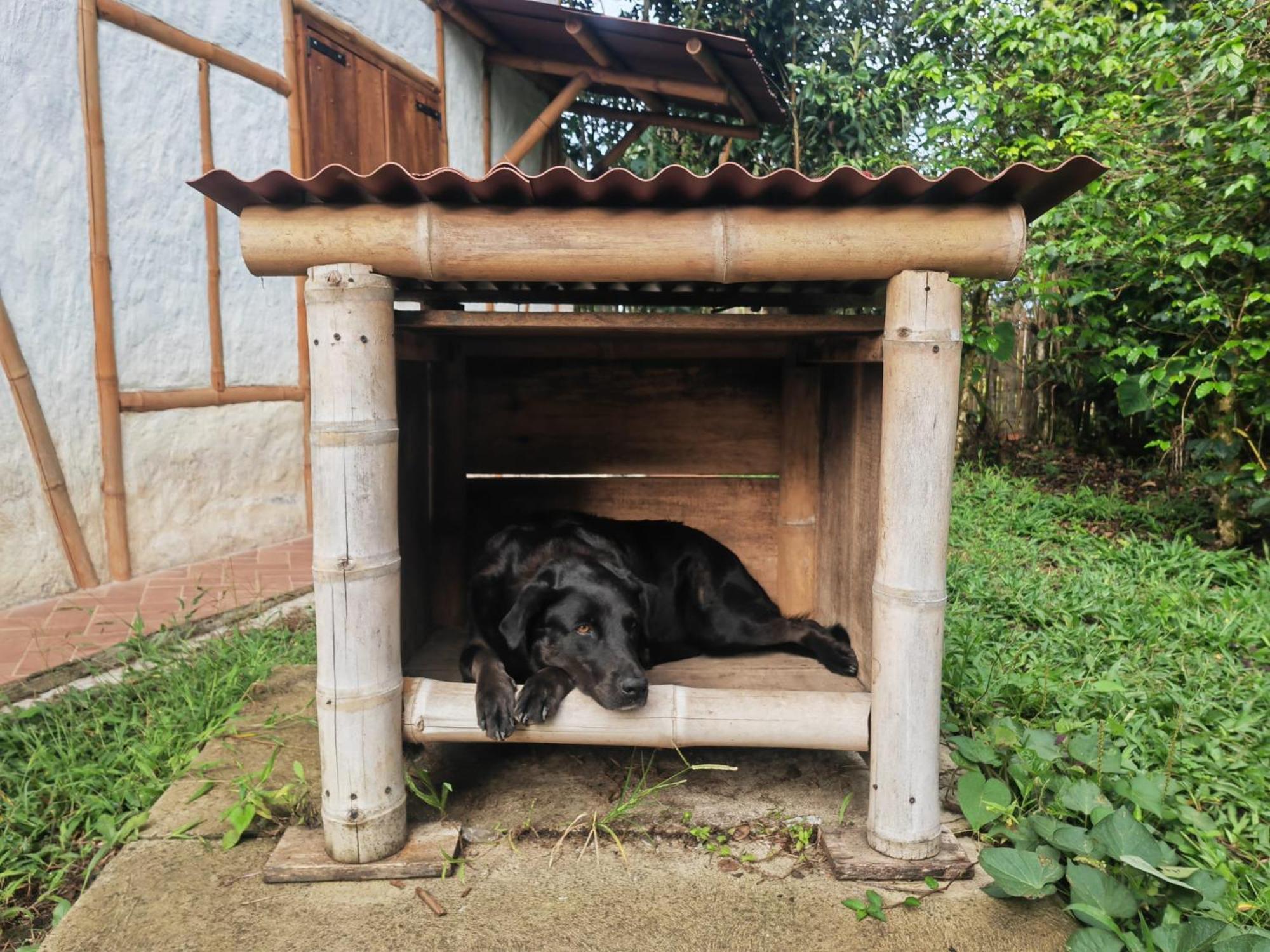 San Agustín Casa Entera Finca Cometa מראה חיצוני תמונה