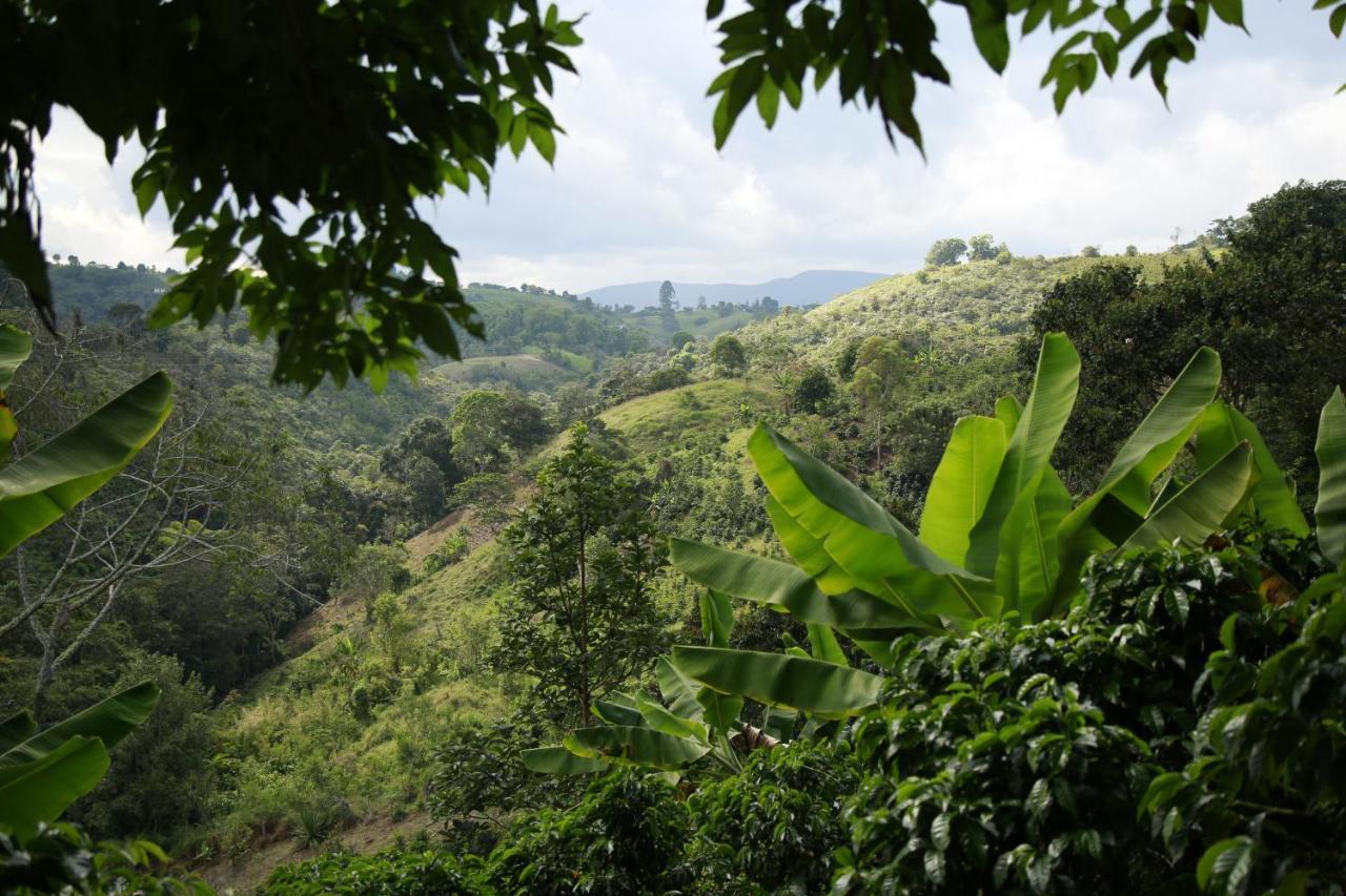 San Agustín Casa Entera Finca Cometa מראה חיצוני תמונה